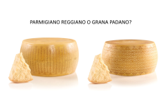 Parmigiano Reggiano o Grana Padano? Ecco le differenze!