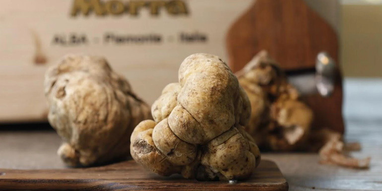 Il Tartufo Bianco Morra: Il Diamante della Cucina Italiana