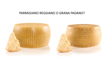 Parmigiano Reggiano o Grana Padano? Ecco le differenze!